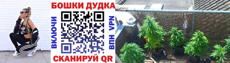 хочу   Оленегорск  Бошки Шишки план 